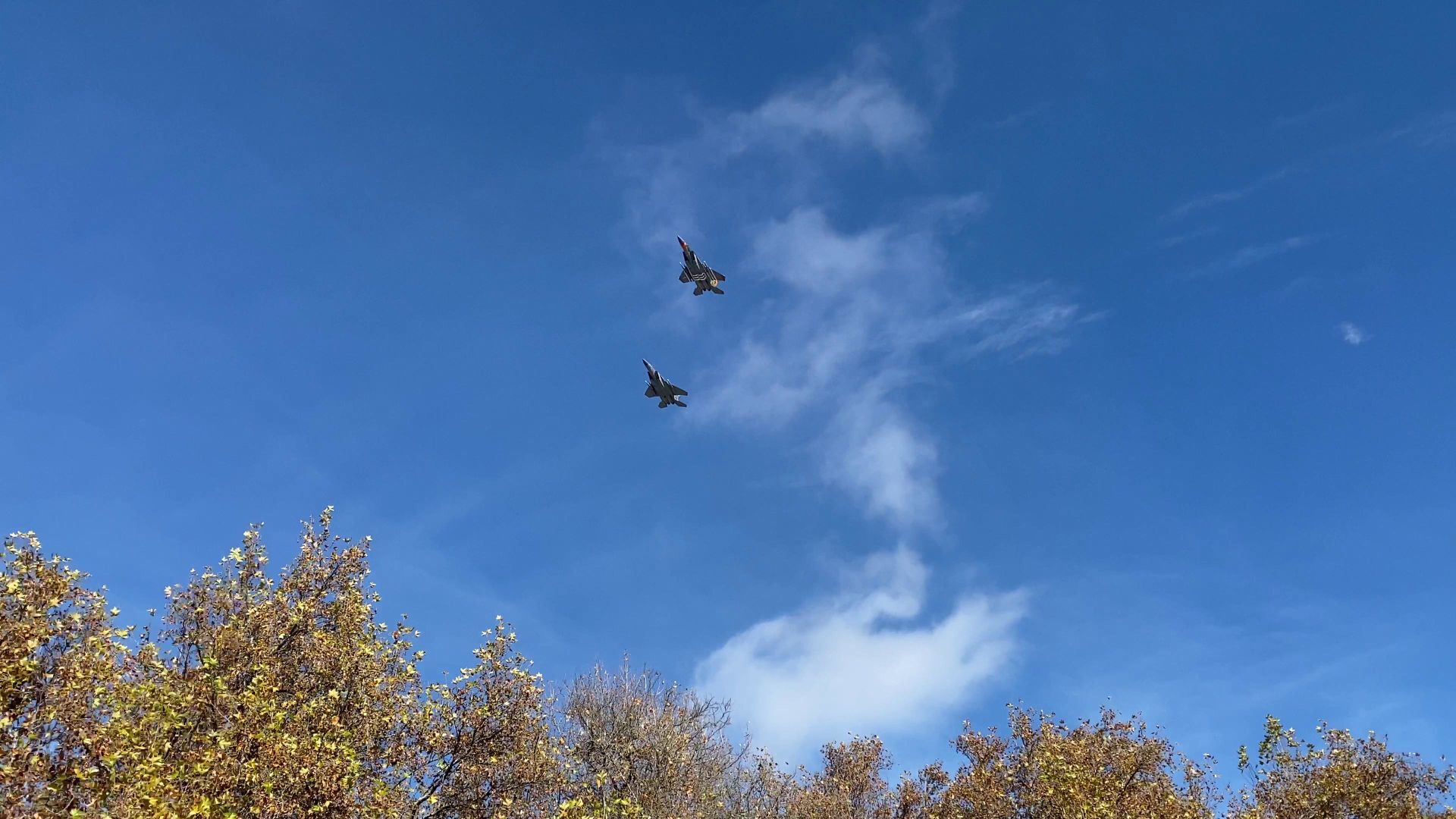 Veterans Day Flyover